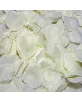 DIABLO PICANTE - 100 VANILLENBLÄTTER