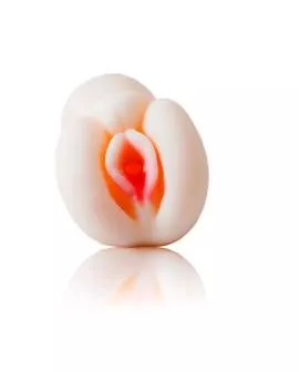 BAILE - Passion II 3 Dimensional Lady Masturbator