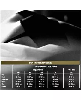 Penthouse Be Mine Teddy Schwarz - Größe S