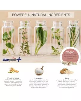 500 COSMETICS - SIZEGAIN PLUS-PILLEN ZUR VERGRÖSSERUNG DES PENIS