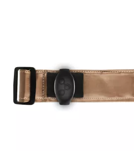 Mythology - Fantasy-Geschirr in Bronze S/M