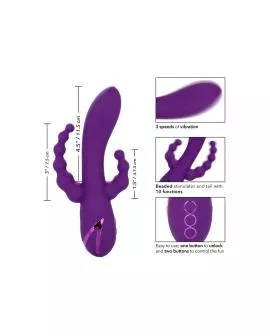Calexotics - Long Beach Bootylicious Lila Analplug