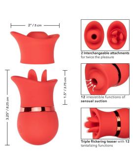 CALEXOTICS - FRENCH KISS SUCK & PLAY SET