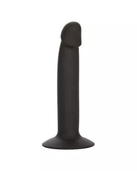 CALEXOTICS - SLIM ANAL STUD