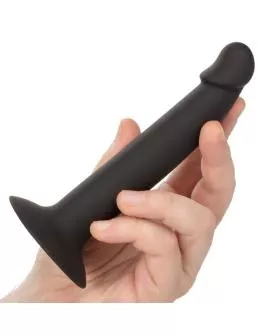CALEXOTICS - SLIM ANAL STUD