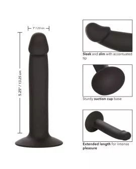 CALEXOTICS - SLIM ANAL STUD