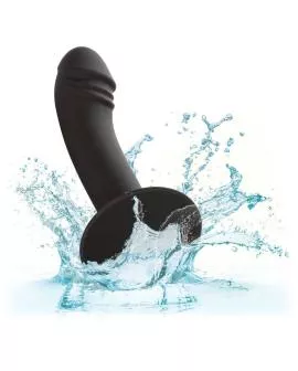 Calexotics - Gebogener Anal Plug - Sexspielzeug