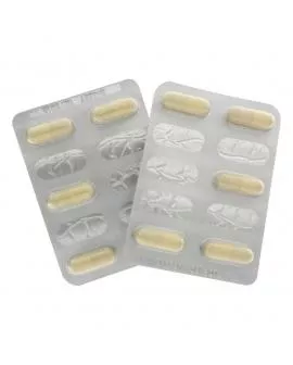 HOT - EXXTREME LIBIDO CAPS FRAU 10 STK