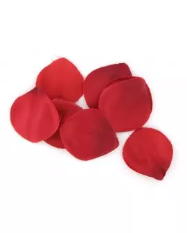 EXTASE SENSUAL - ROTE VERSUCHUNGSTRUHE