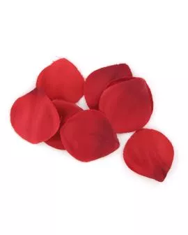 Extase Sensual - Rote Versuchungstruhe Erotik