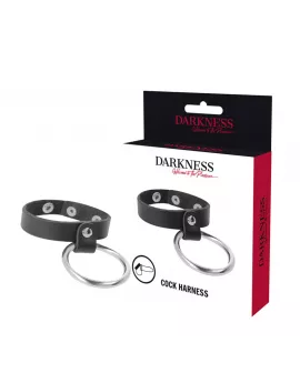 DARKNESS - METALLRING FÜR PENIS UND HODEN