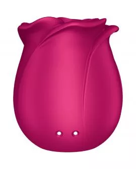 SATISFYER - AIR PULSE PRO 2 CLASSIC BLOSSOM VIBRATOR