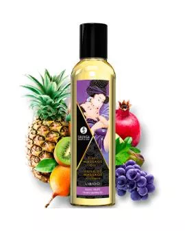 SHUNGA Fruity Kisses Kit - Erotik Kollektion