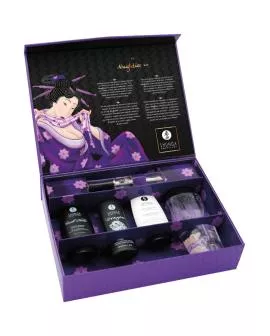 SHUNGA Frechtes Kit - Erotisches Spielset