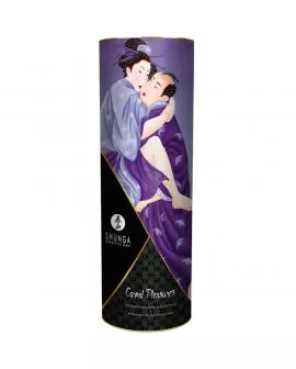 SHUNGA - KOLLEKTIONSSET FÜR FLEISCHLICHE FREUDEN