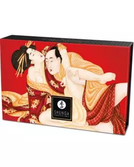 Shunga - Erdbeer-Essbares Massagepulver-Set
