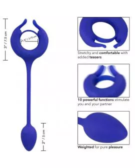 Calexotics - Admiral Bewitchter Hahnering Blau