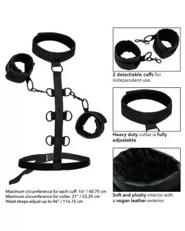 Calexotics - Boundless Kragenkörperführung