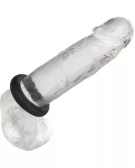 CALEXOTICS - ALPHA PROLONG MEDIUM RING SCHWARZ