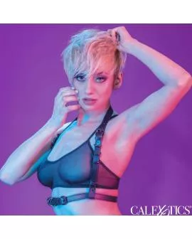 Calexotics - Euphoria Halfterschnallungsgeschirr Schwarz