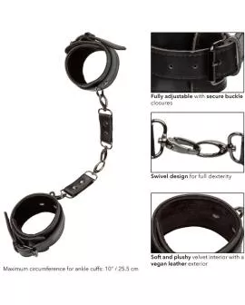 Calexotics Euphoria Knöchel-Manschetten - Bondage