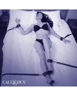 CALEXOTICS - NOCTURNAL BETTFESSELN LEDER VERSTELLBAR SCHWARZ