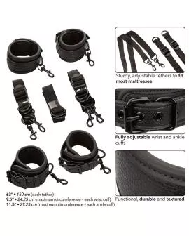 CALEXOTICS - NOCTURNAL BETTFESSELN LEDER VERSTELLBAR SCHWARZ