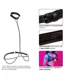 CalExotics Euphoria Kettenhalfter-Halsband und Leine - Übergröße