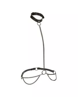 CalExotics Euphoria Kettenhalfter-Halsband und Leine - Übergröße