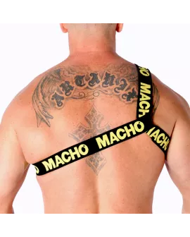 MACHO Römisches Geschirr Gelb - Erotik