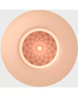 Pretty Love - Masturbator Eierfleischmodell 2