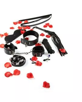 TOYJOY - Nur für Sie BDSM-Starter-Kit für Frauen