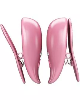 Pretty Love Cailey Nippleklemmen - 10 Vibrationen Fernbedienung Rosa
