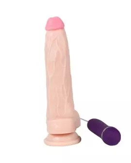 SHEQU - Holy Dragon Vibratordildo mit Fernbedienung 20,5 cm