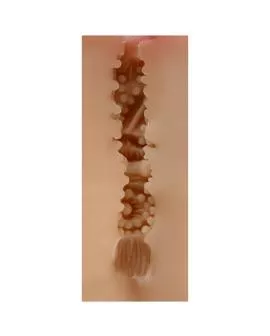 SHEQU Maud Vagina-Masturbator - Realistischer Erotik-Toy