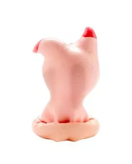 Condomerie - Handbemalte Neuheitskondome Schweinekopf