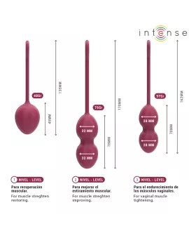 INTENSE - CHARLI KEGEL BALL KIT BURGUND
