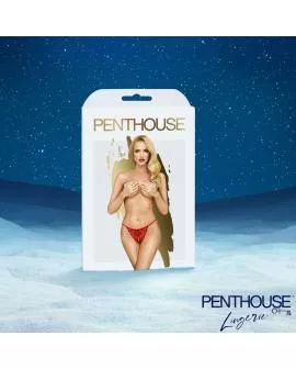 Satisfyer Premium Adventkalender 2025 - Erotik