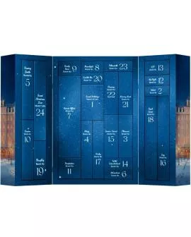 Satisfyer Premium Adventkalender 2025 - Erotik