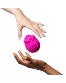 ROMP - ROSE 2.0 ROSA-FÖRMIGES KLITORIS-SAUGWERKZEUG