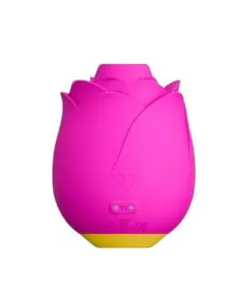 ROMP - ROSE 2.0 ROSA-FÖRMIGES KLITORIS-SAUGWERKZEUG