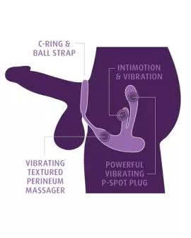 ANAL FANTASY ELITE - WIEDERAUFLADBARER ANAL- UND PERINEALSTIMULATOR FÜR ASS-GASMUS-INTIMOTION