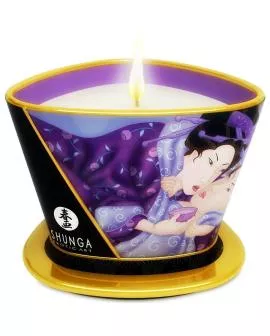 Shunga Mini Caress - Exotische Früchte Massagekerze 170 ml