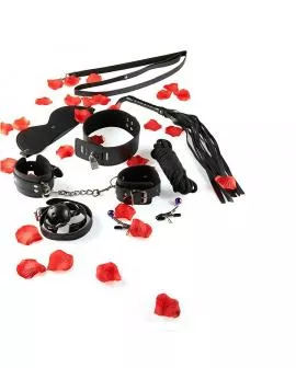 TOYJOY - NUR FÜR SIE BDSM-STARTER-KIT