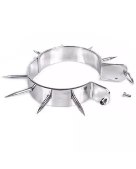 METAL HARD - BDSM-Sklavenhalsband mit Spitzen