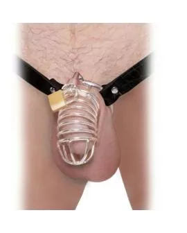 FETISH FANTASY EXTREME CHASTITY BELT