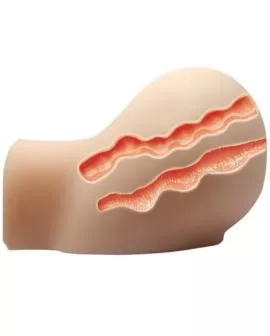 CRAZY BULL - Realistische Vagina-Anus mit 6 Vibrationen