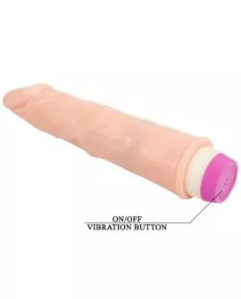 BAILE - WELLEN DES VERGNÜGENS VIBRATOR 21.5 CM ANFNGER