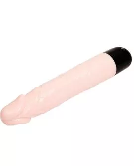 Baile - Bunte Sex Vibration und Rotation 24 cm