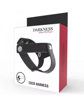 DARKNESS - HAUTRING FÜR PENIS UND HODEN